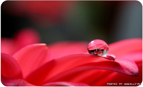 И о том тебе не сказать?