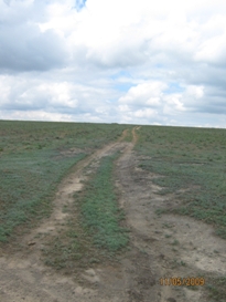 Россия знала много горьких судеб