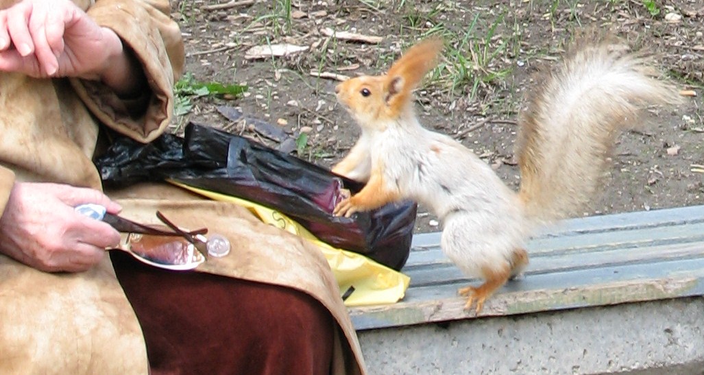 Брожу по лабиринтам парка...