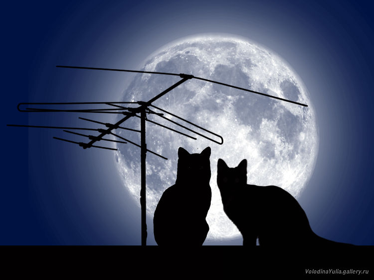 Полнолунное молоко