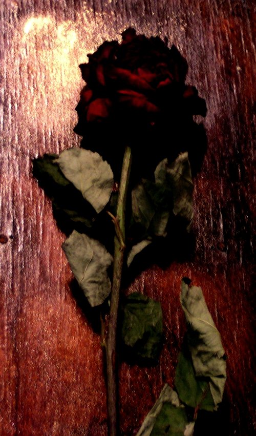 Неволя думы