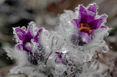 Он, как и ты, - немножко шалый