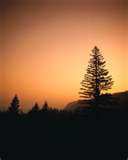 Вкус Родины