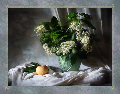 Прильну в прощании устами