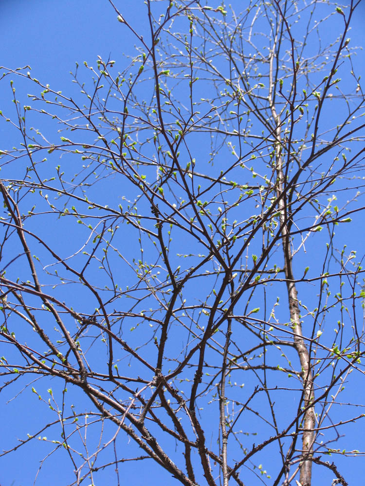 Сезоны любви