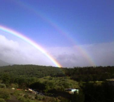 Отчаявшимся и разочаровавшимся...