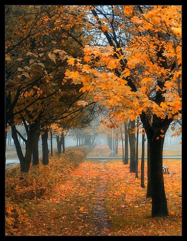 Осенние аллеи. 27. 09. 2004г