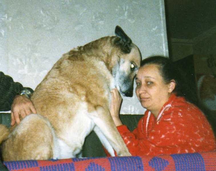 Кто конфеты ночью съел?