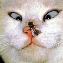 Просто анекдот