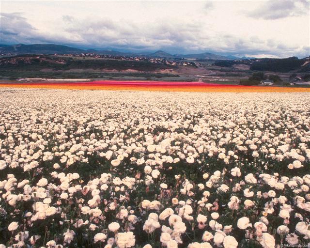 Что новый день сулит мне