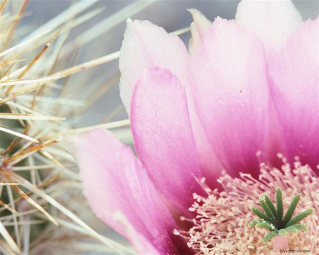 Вроде бы вокруг все хорошо