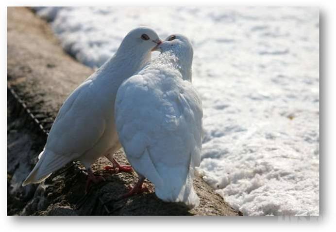 Люби меня пока жива