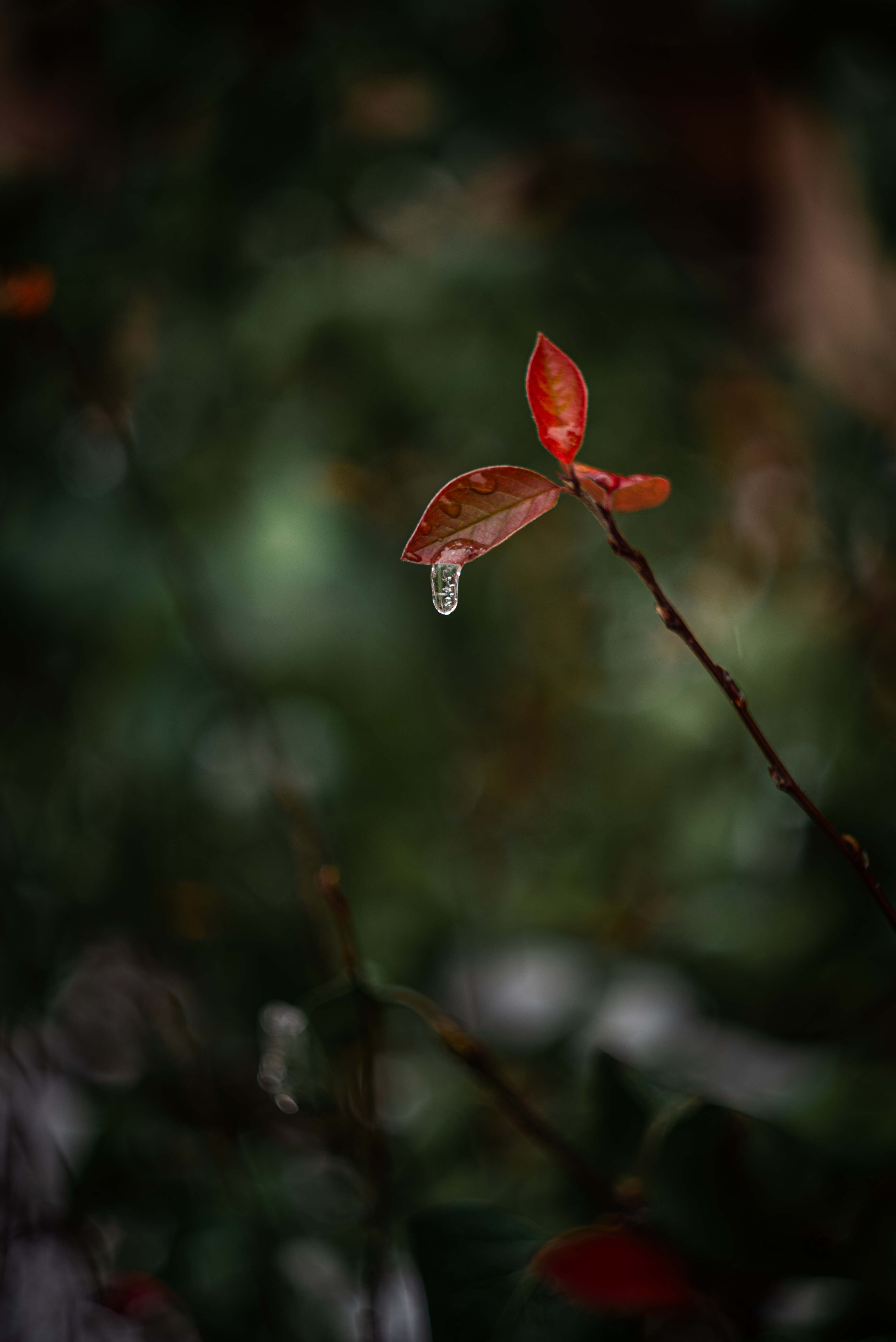 Прогулки с осенью