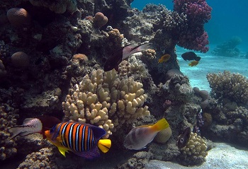 В глубину загляну