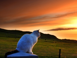 Там, за закатами