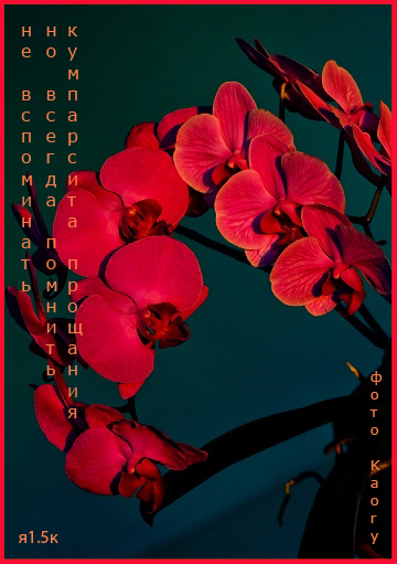 не вспоминать...