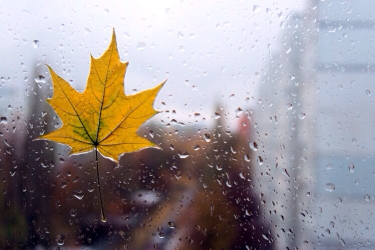 Хочу сегодня тишины...