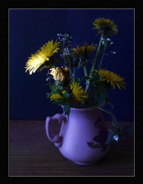 Буду зайчиком солнечным ласковым