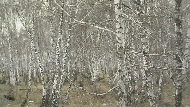 Ода деревенской жизни