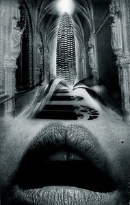 7 тюльпанов расцветки тигра