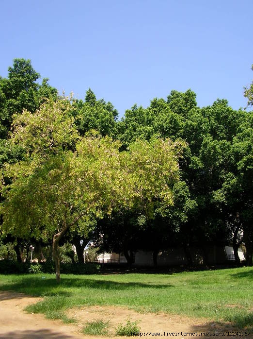 Моя родная малая земля