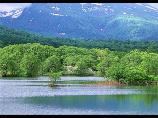 Капли дождя на стекле
