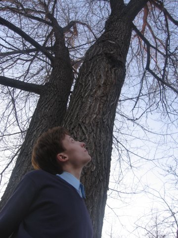 Маленький Принц