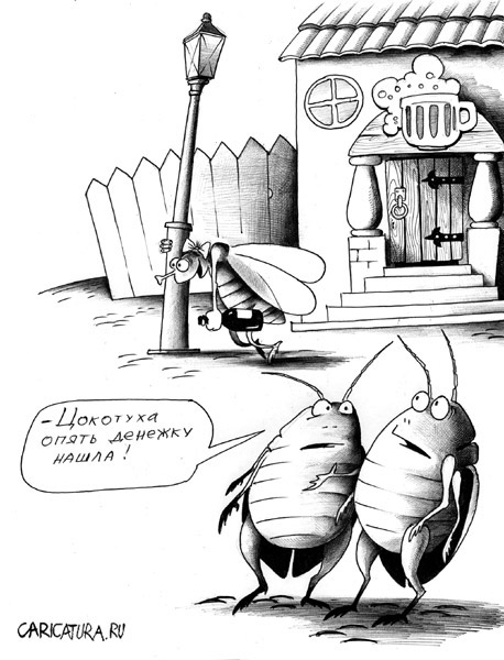 Насекомая история... Басня