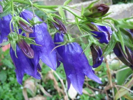 Ночь на исходе