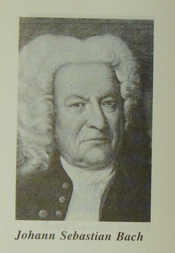 Орган огранен органично