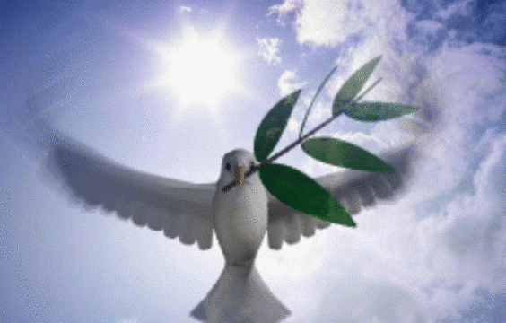 Клетка золоченая