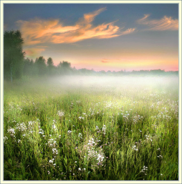 Как тернист путь обычной персоны