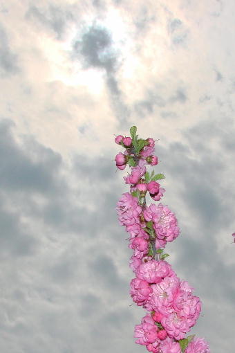 А нас едят, как прежде