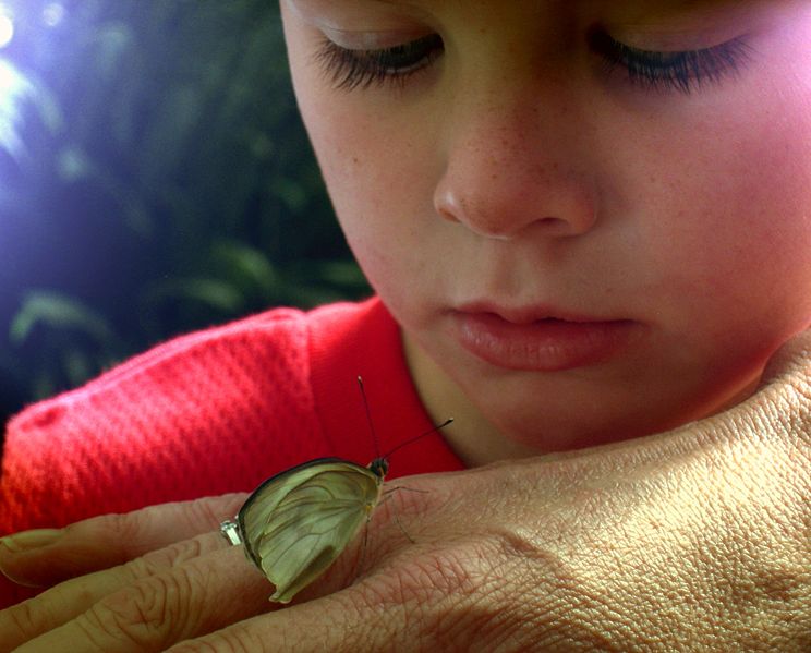 Диалог o Красотe