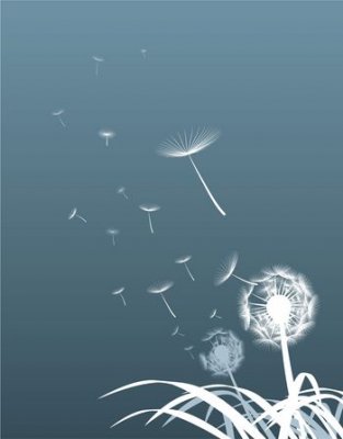 Митi на льоту