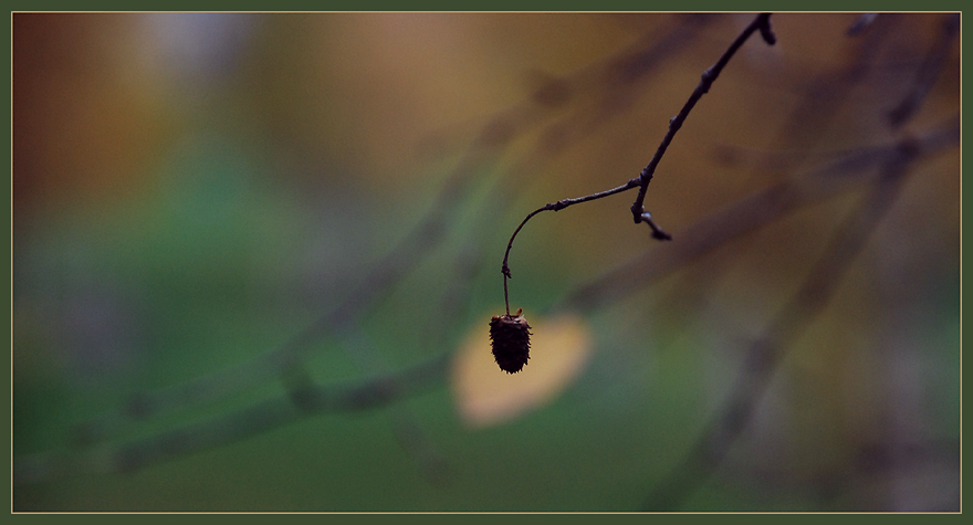 Молчанье ветра