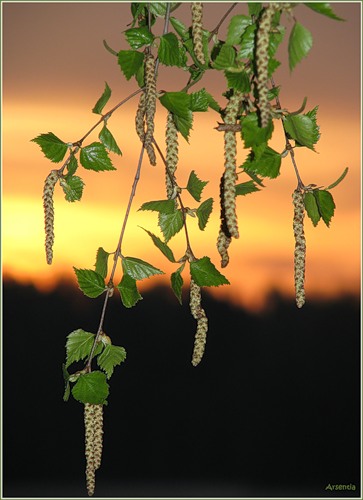 Ну, так что, что была с тобой смелою