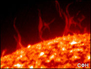 Звезда по имени Ты...