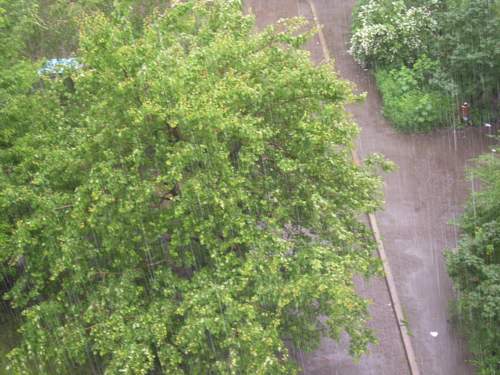 Я слушаю дождь