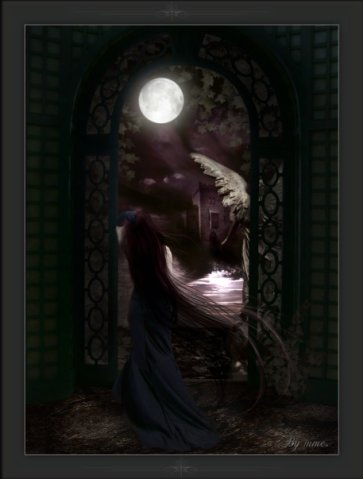 холодный поцелуй