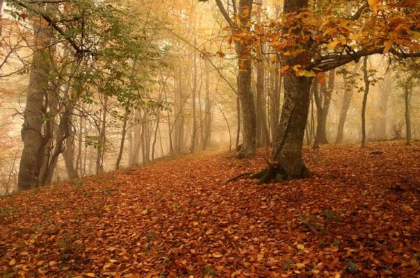 настоящее счастье