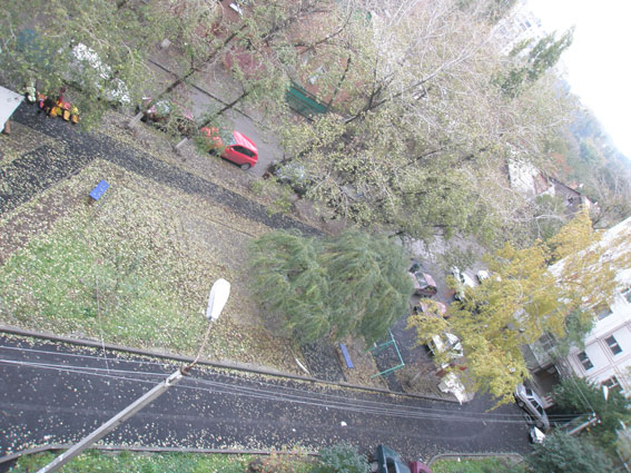 Турмалиновский блюз