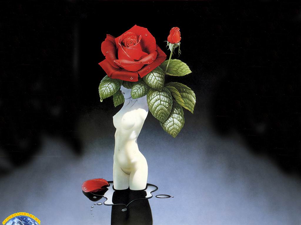 Подарил цветы прикол. Женщина с розами смешной. Юмор про розы.