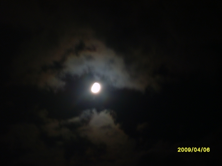 Последняя майская ночь на даче