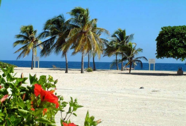 Вечное лето