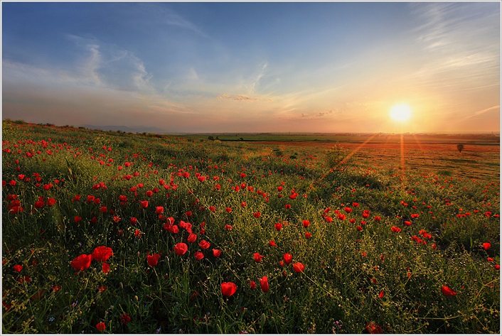 Я учусь жить на вашей Земле