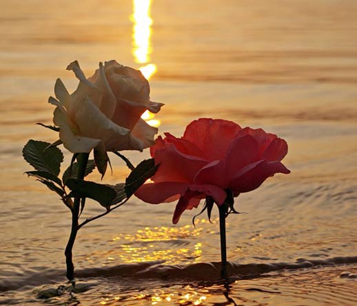 Раздумья о прекрасном