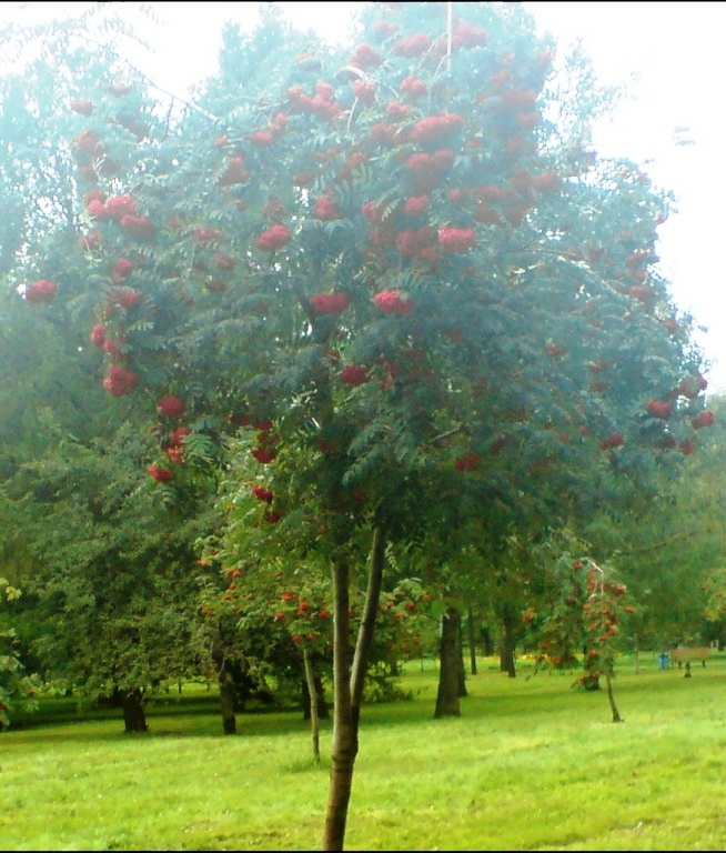 пальцы продрогли...