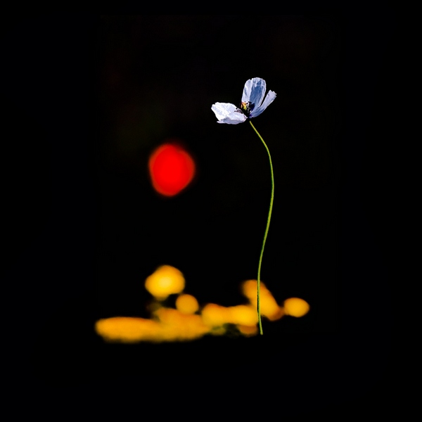 Надеемся на встречу