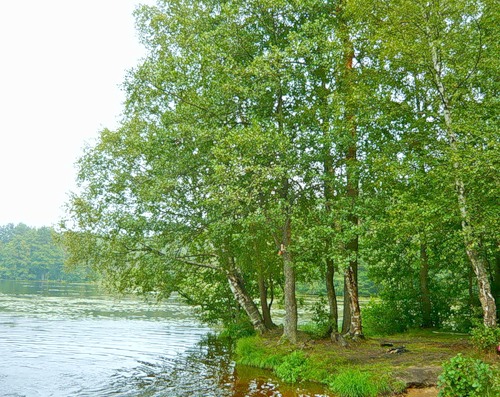 Ты полон милости ко мне